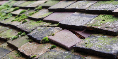 Gwernogle roof repair costs